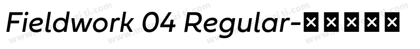 Fieldwork 04 Regular字体转换